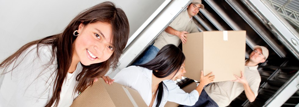 Professional Removalists Cootra